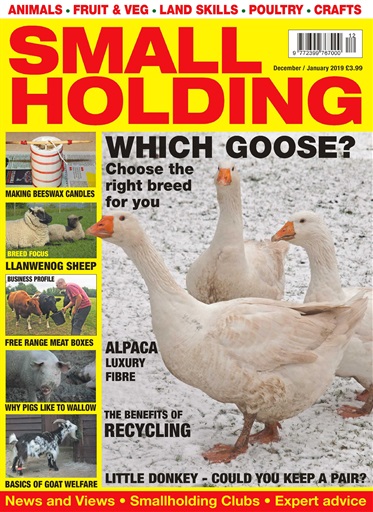 The Smallholder issue 