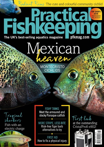 Practical Fishkeeping issue 