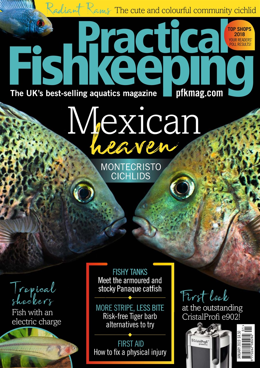 Practical Fishkeeping Preview Pages