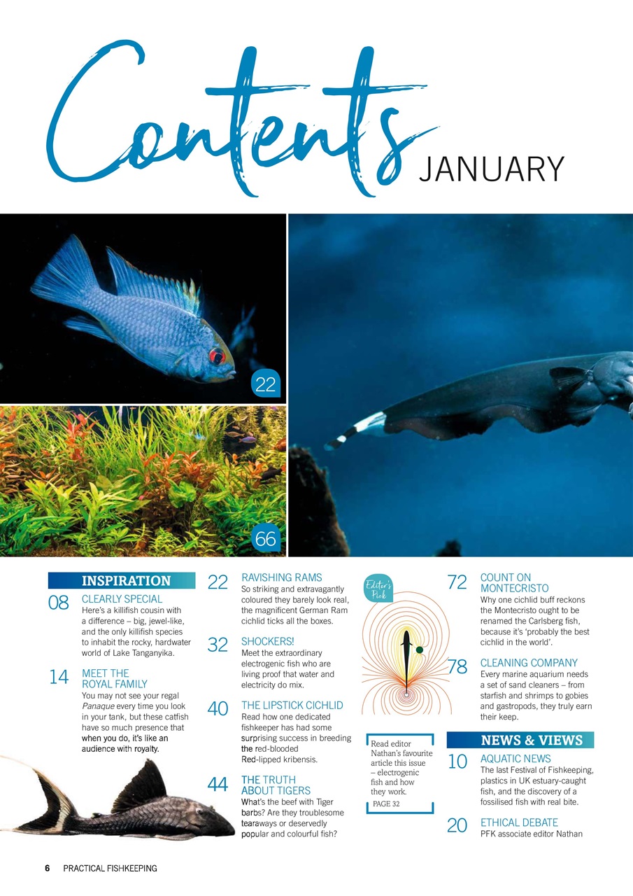 Practical Fishkeeping Preview Pages