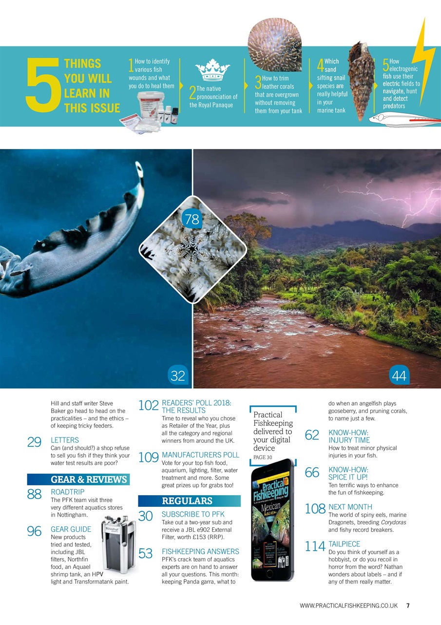 Practical Fishkeeping Preview Pages