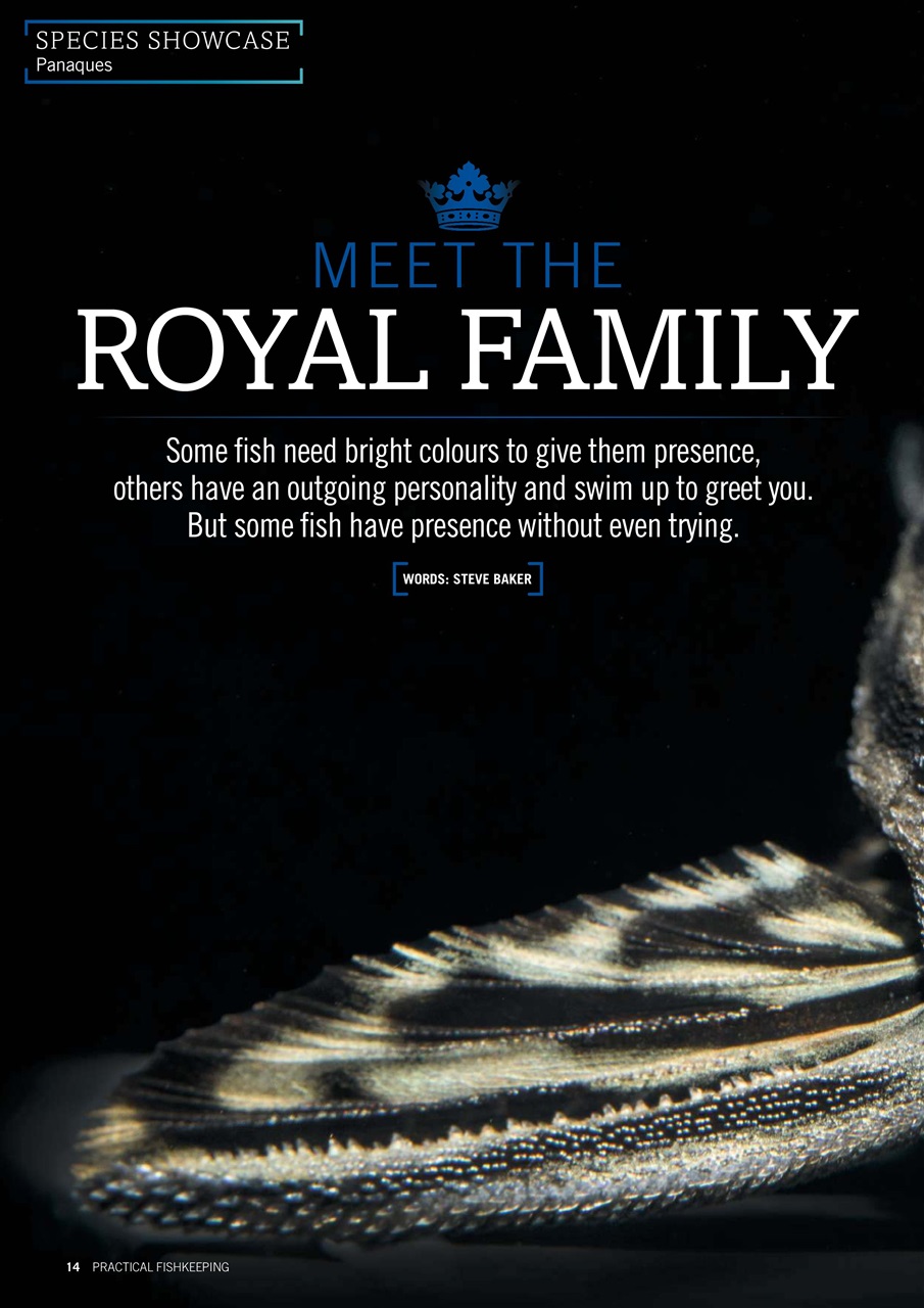 Practical Fishkeeping Preview Pages