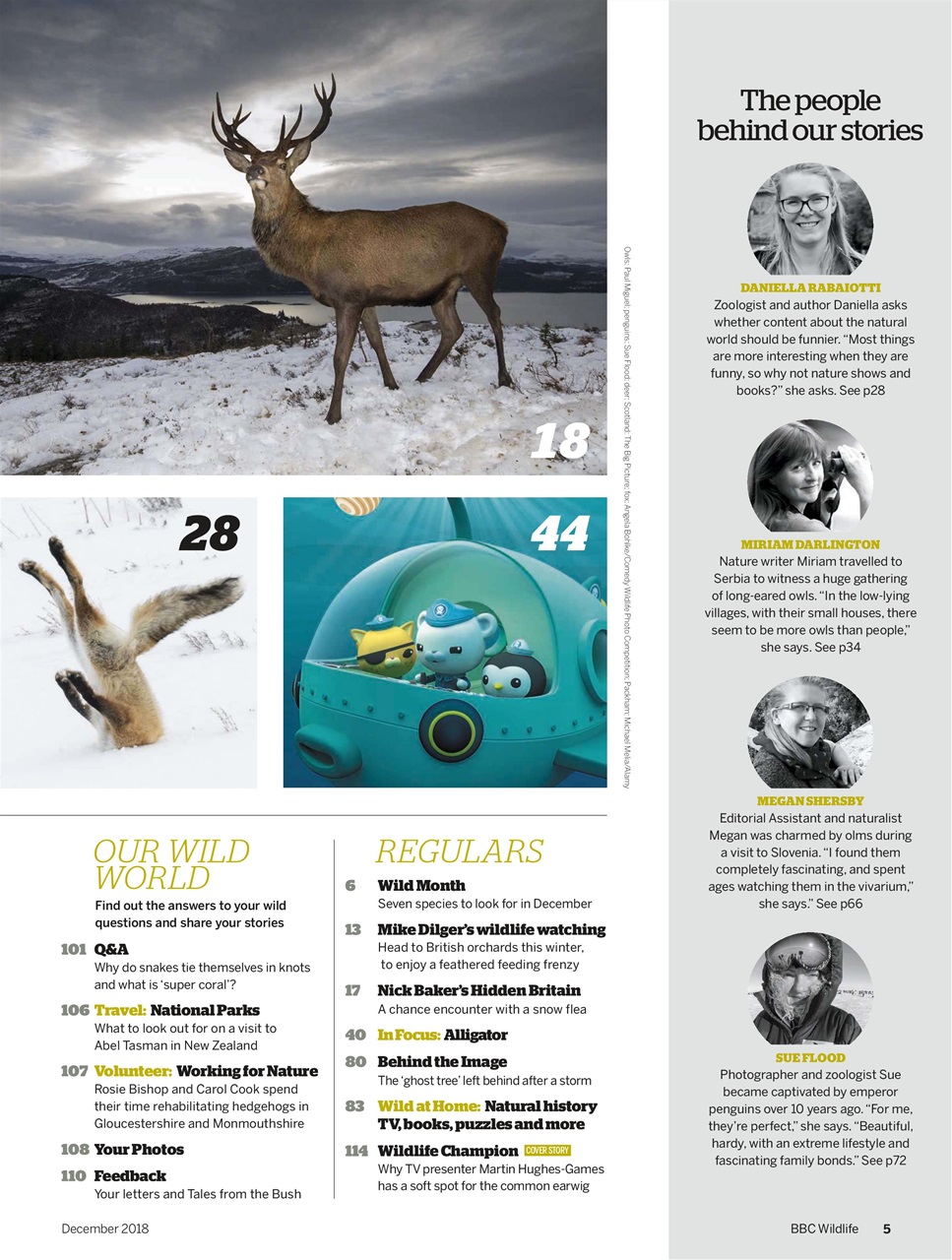 BBC Wildlife Magazine Preview Pages