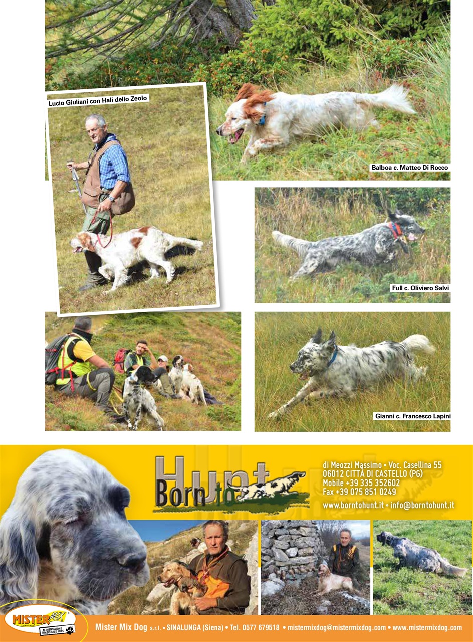 La Gazzetta Della Cinofilia Venatoria Preview Pages