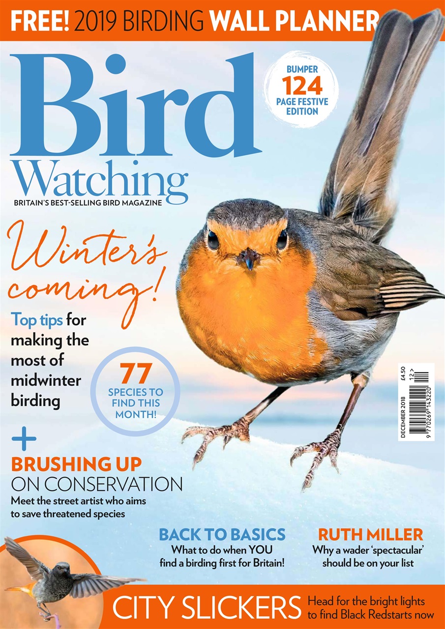 Bird Watching Preview Pages