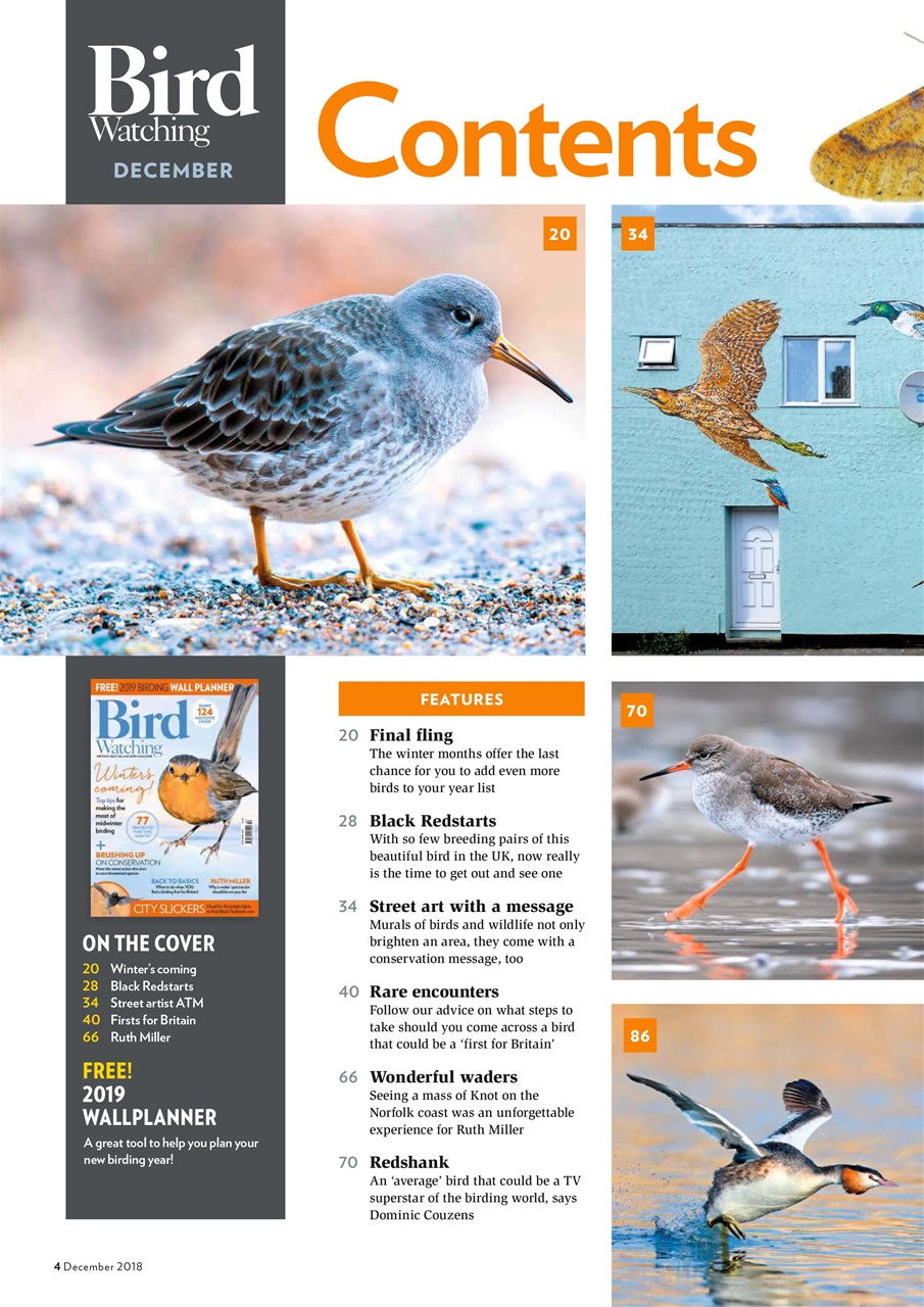 Bird Watching Preview Pages