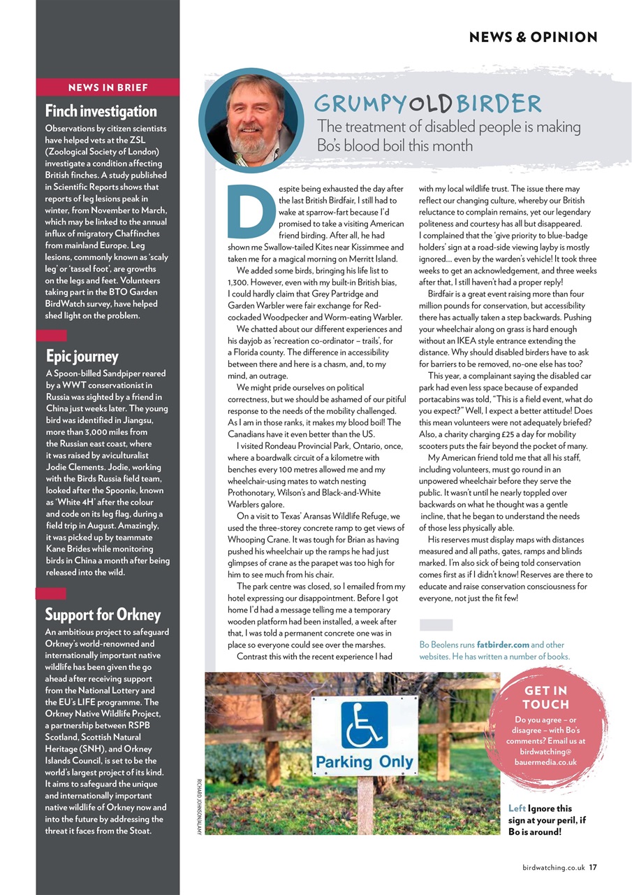 Bird Watching Preview Pages