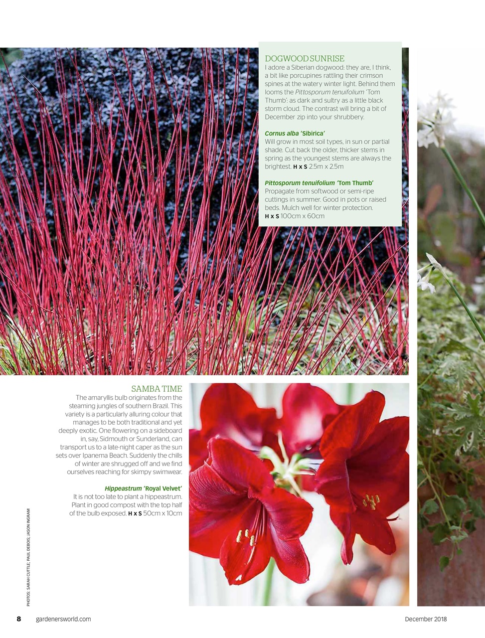 BBC Gardeners’ World Magazine Preview Pages