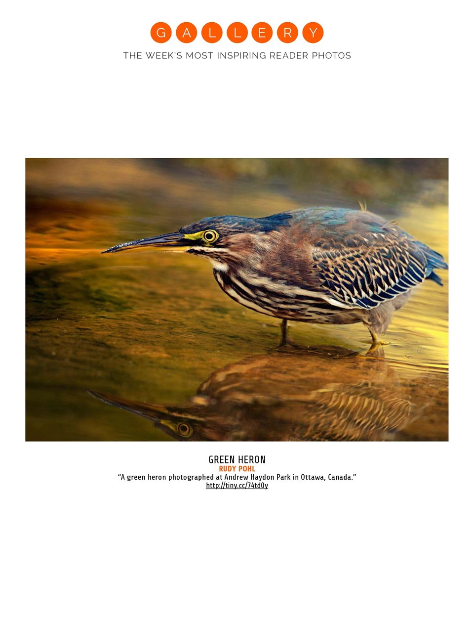 Photography Week Preview Pages