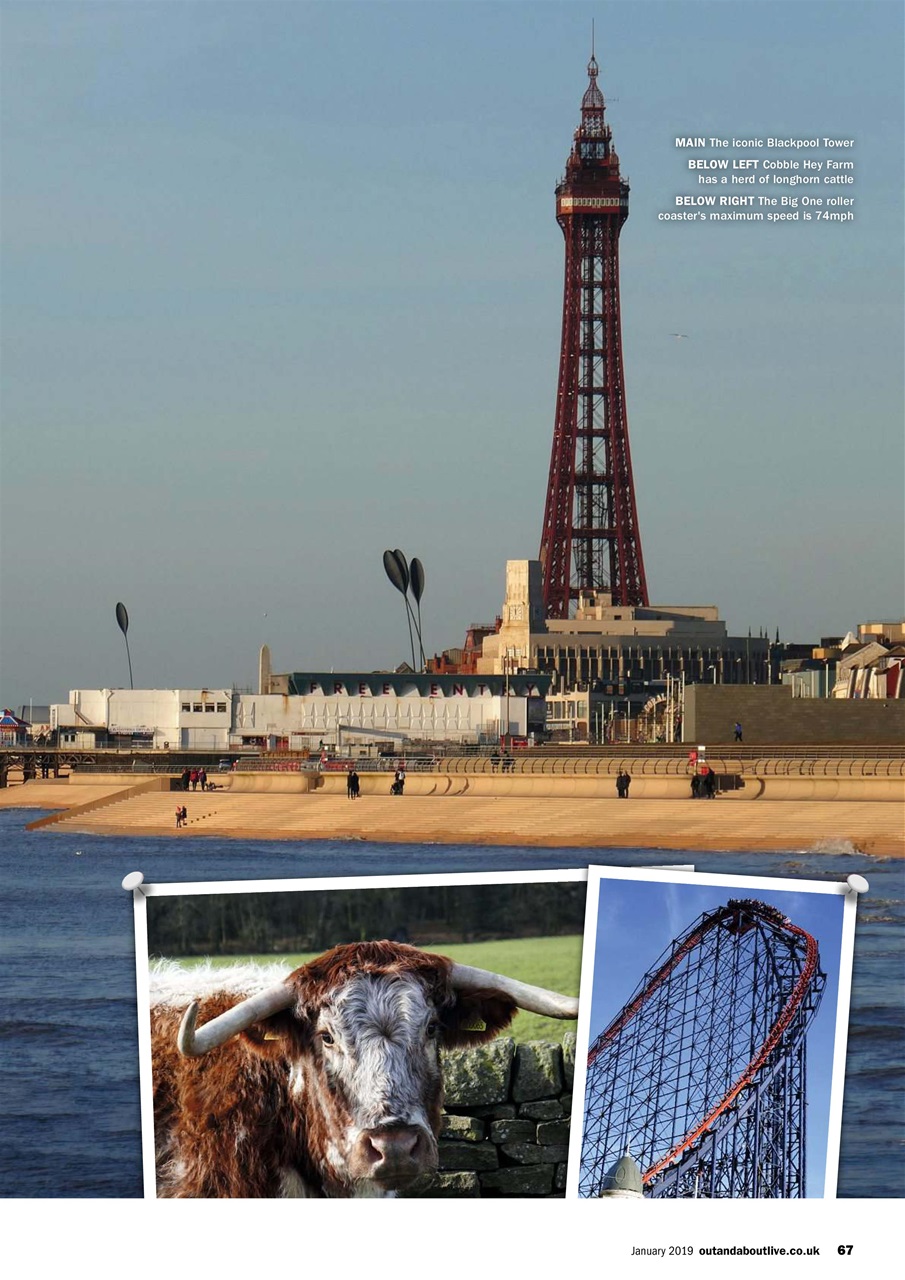 MMM magazine Preview Pages