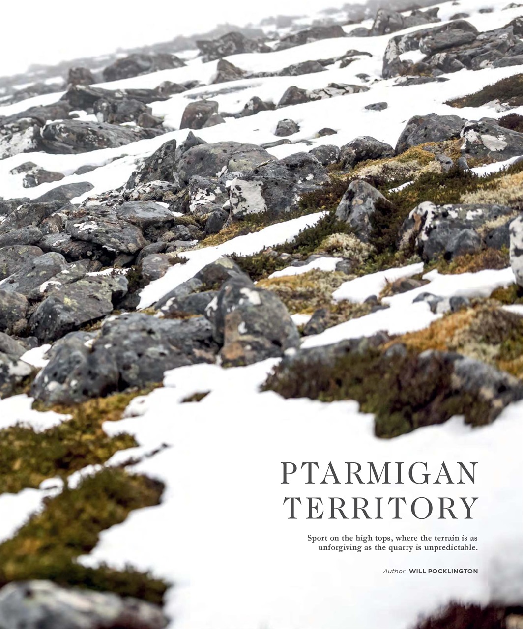 Fieldsports Journal Preview Pages