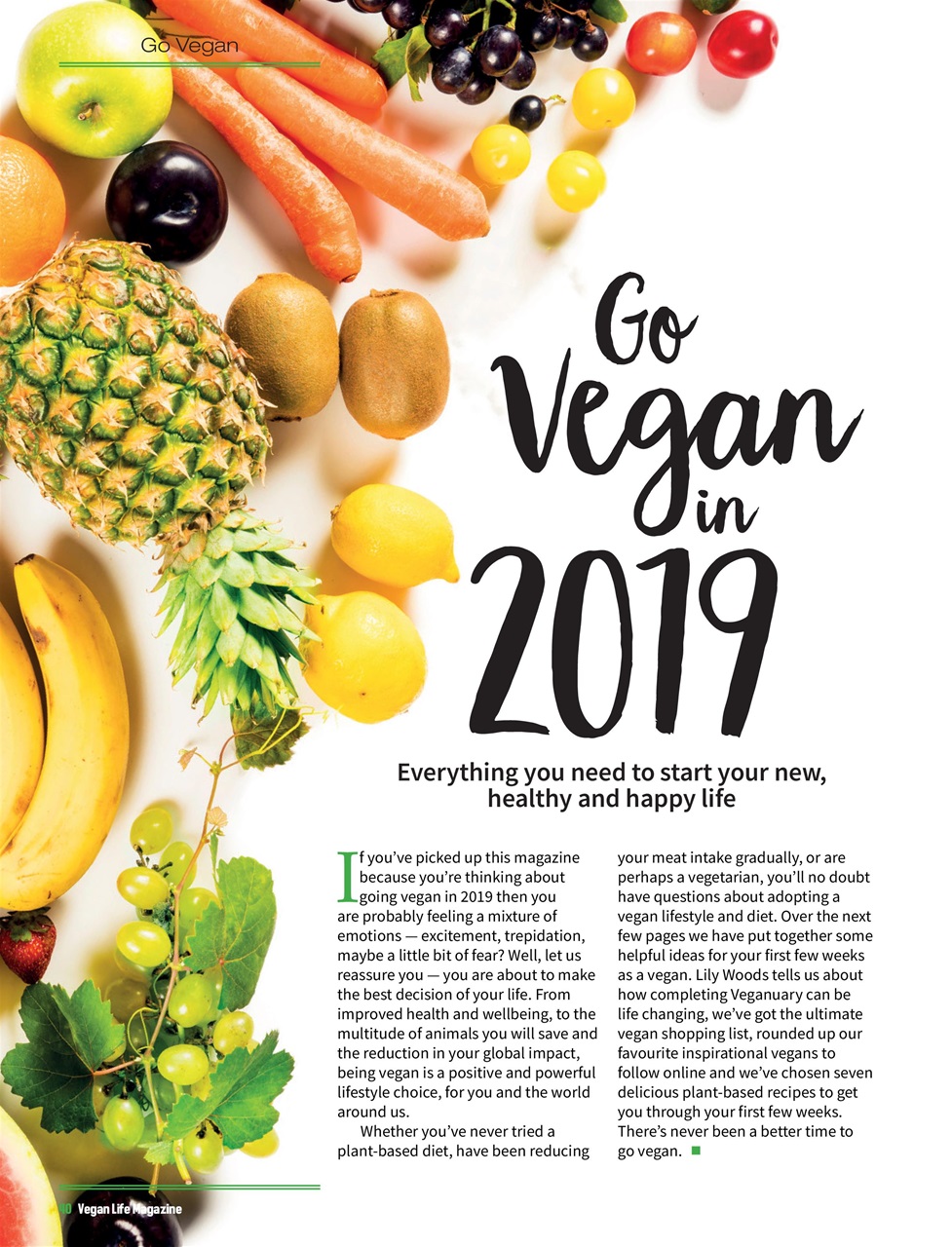Vegan Life Preview Pages