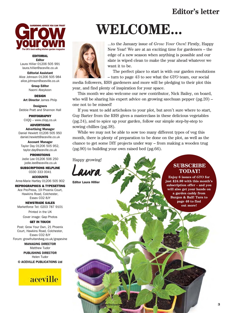 Grow Your Own Preview Pages