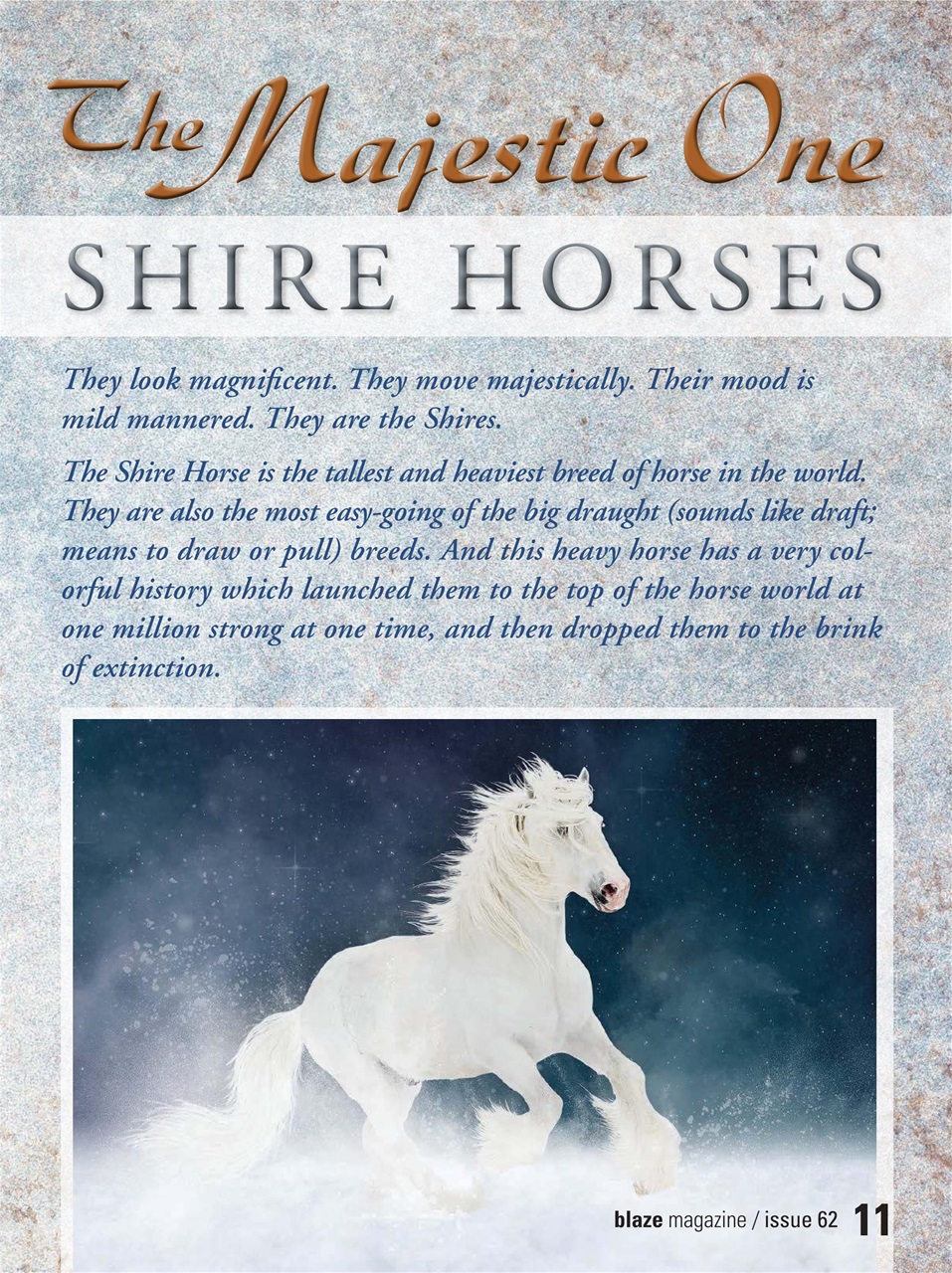 Blaze Magazine For Horse Crazy Kids Preview Pages