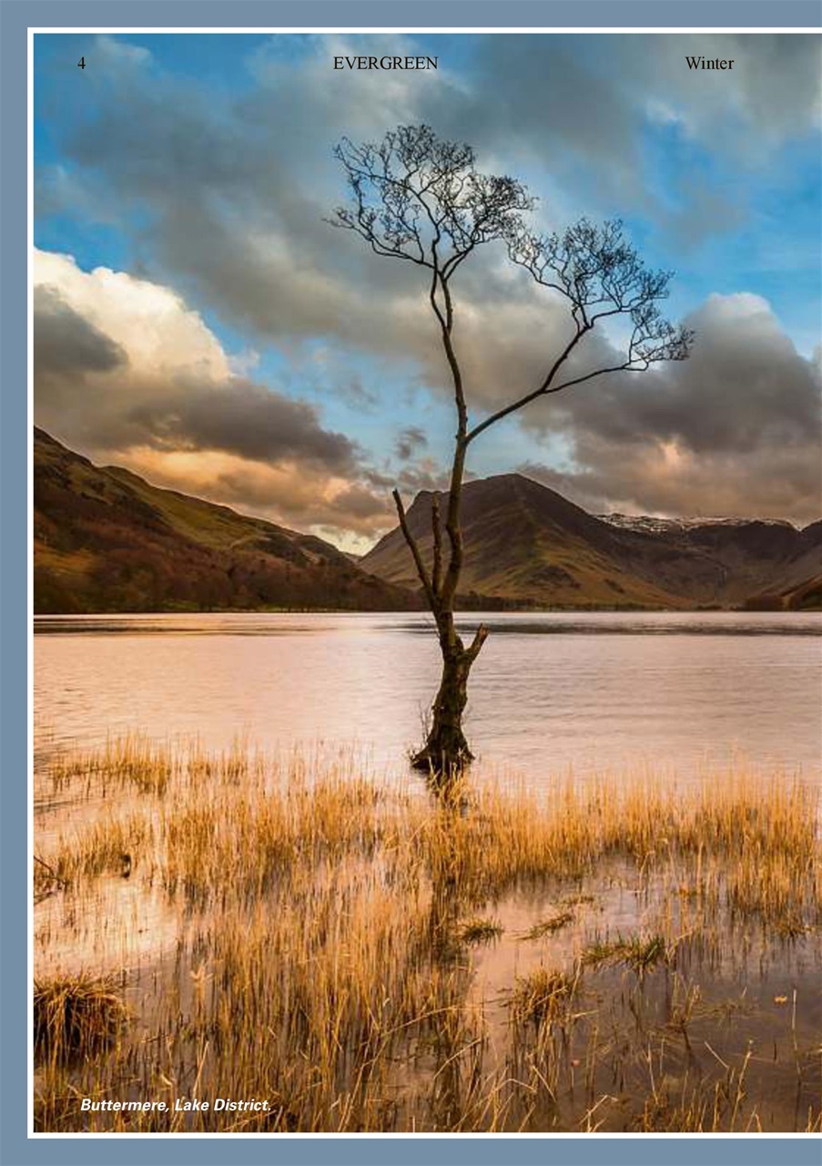 Evergreen Preview Pages