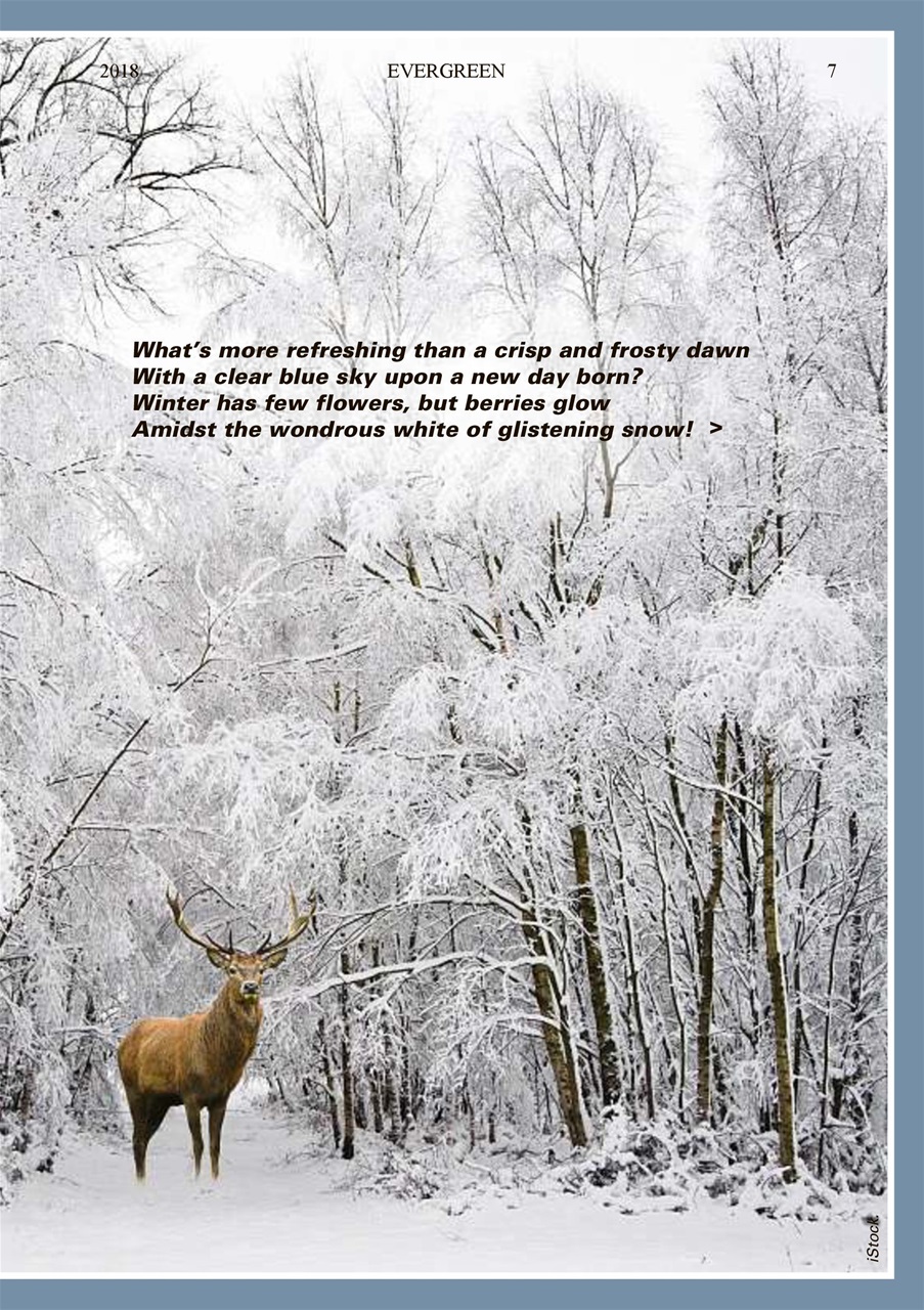 Evergreen Preview Pages