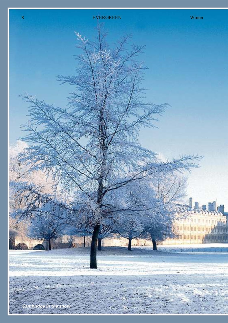 Evergreen Preview Pages