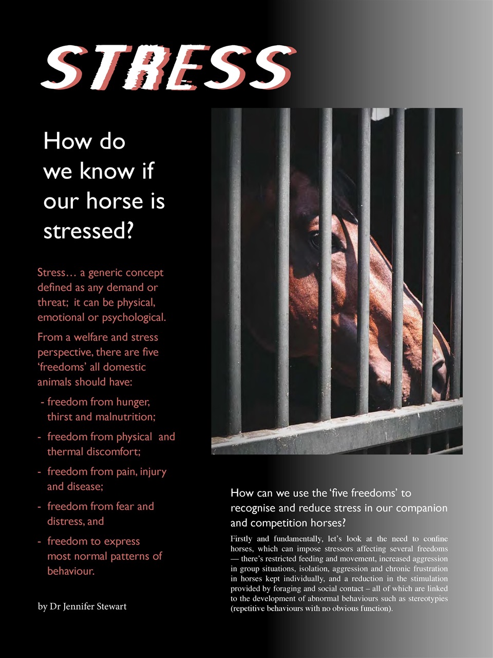 Hoofbeats Preview Pages