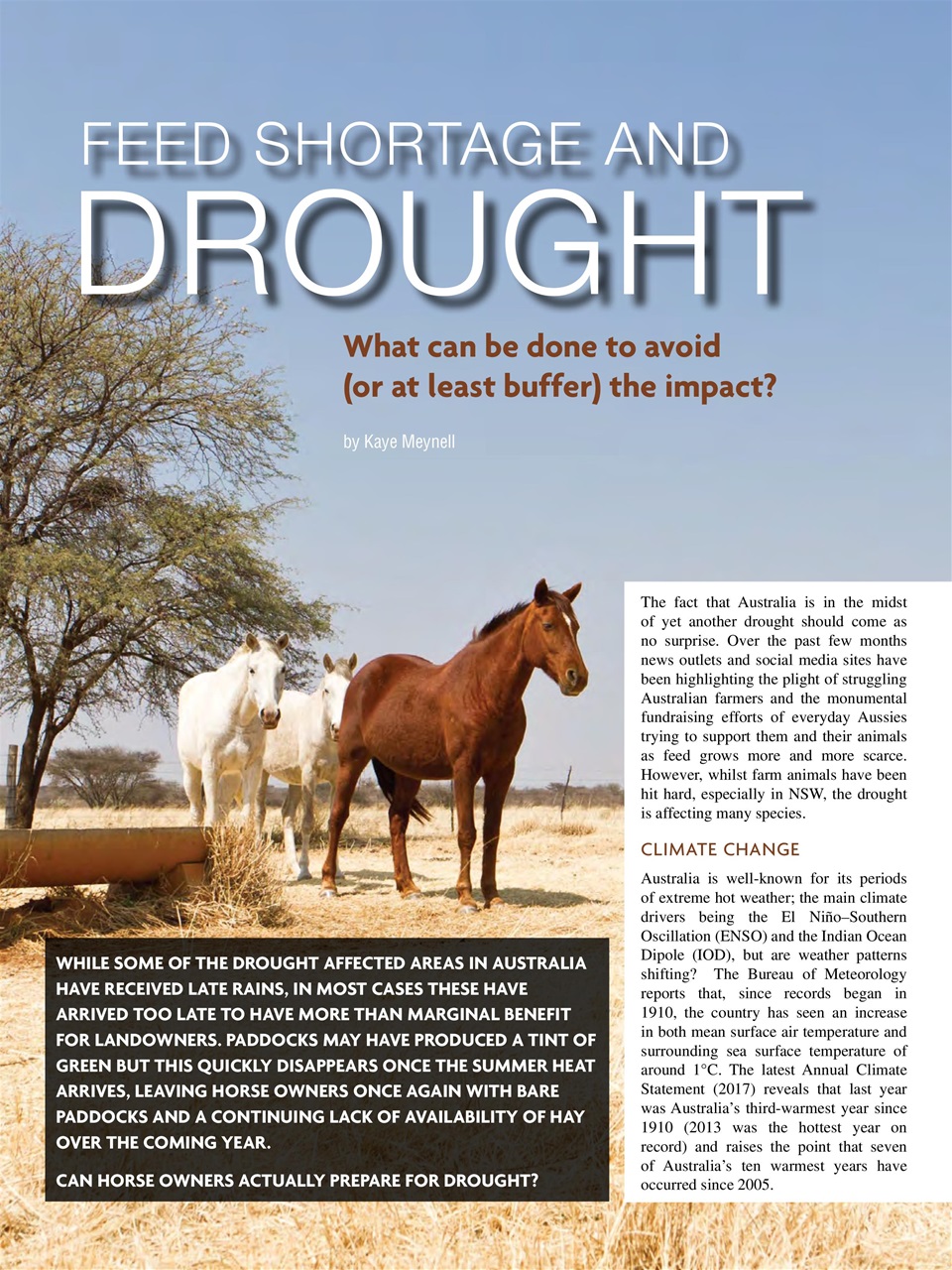 Hoofbeats Preview Pages