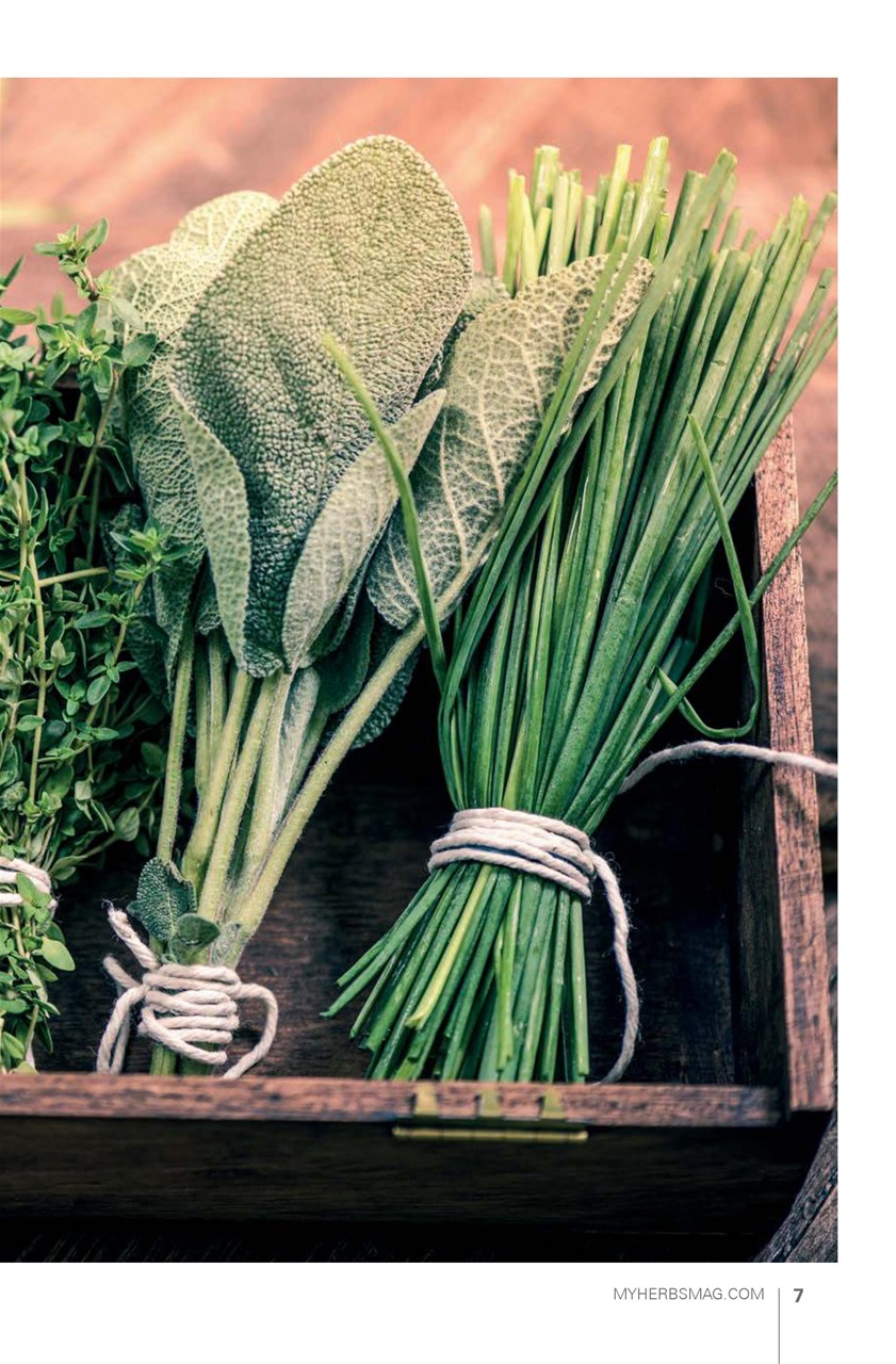 My Herbs Magazine Preview Pages