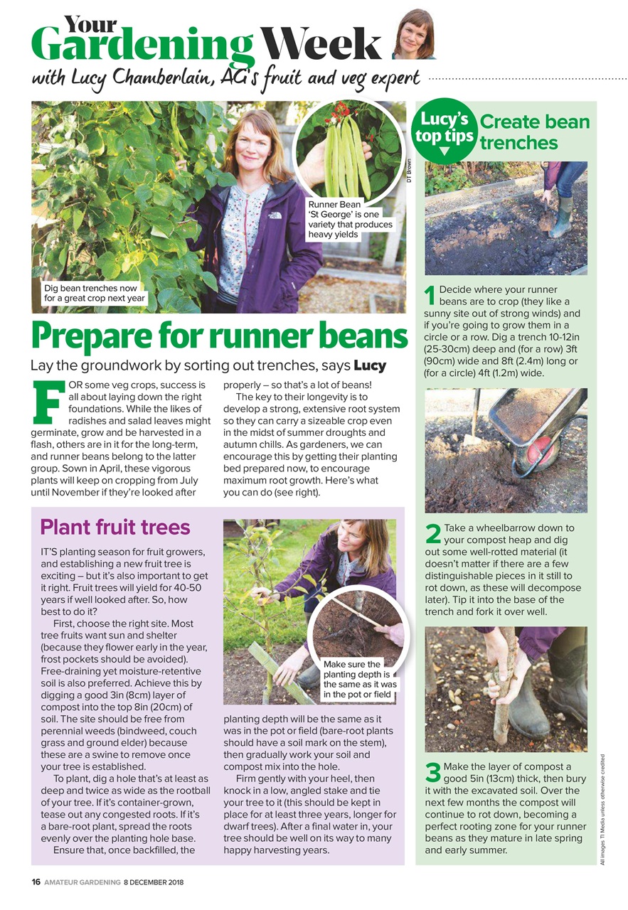 Amateur Gardening Preview Pages