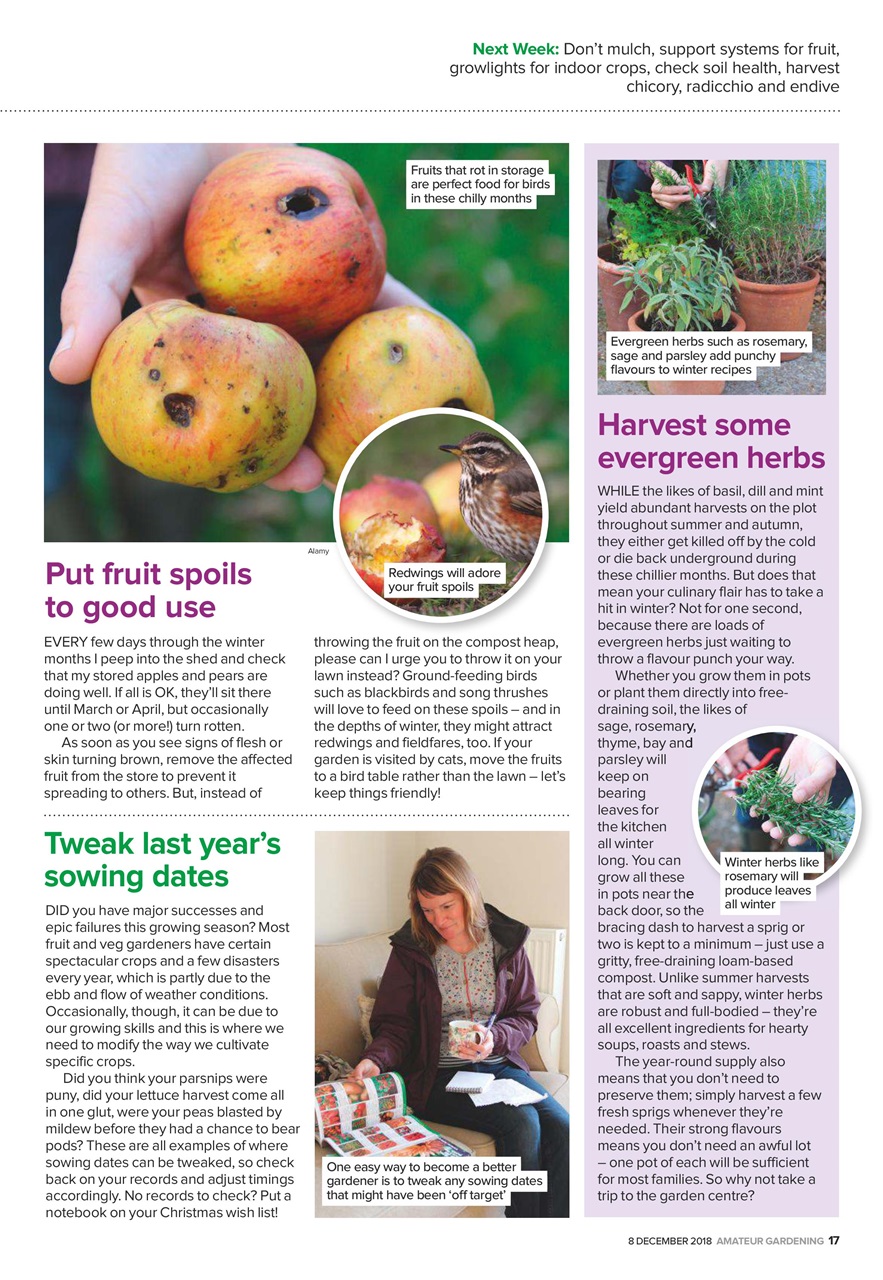 Amateur Gardening Preview Pages