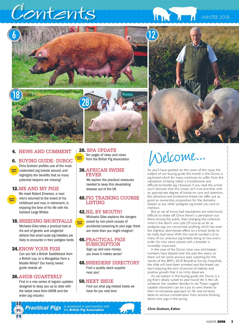 Practical Pigs Preview Pages