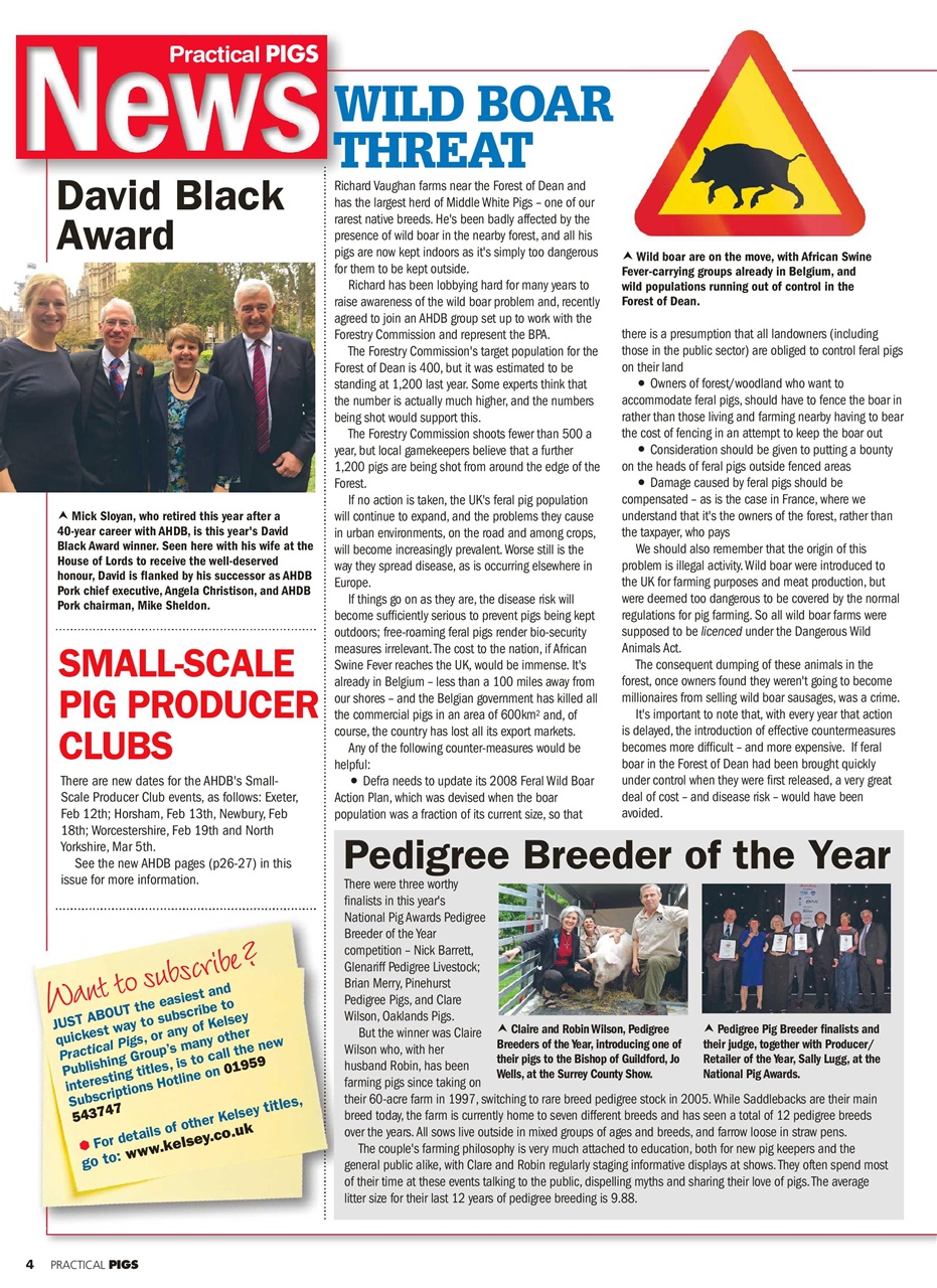 Practical Pigs Preview Pages