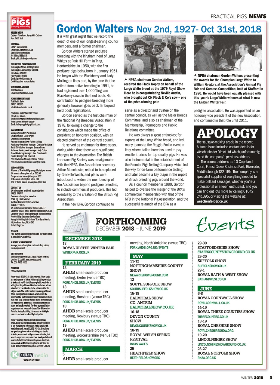 Practical Pigs Preview Pages