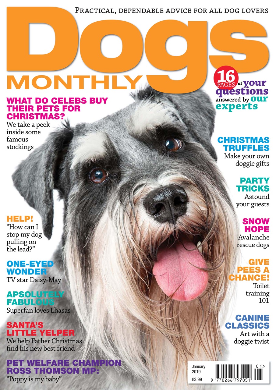 Dogs Monthly Preview Pages