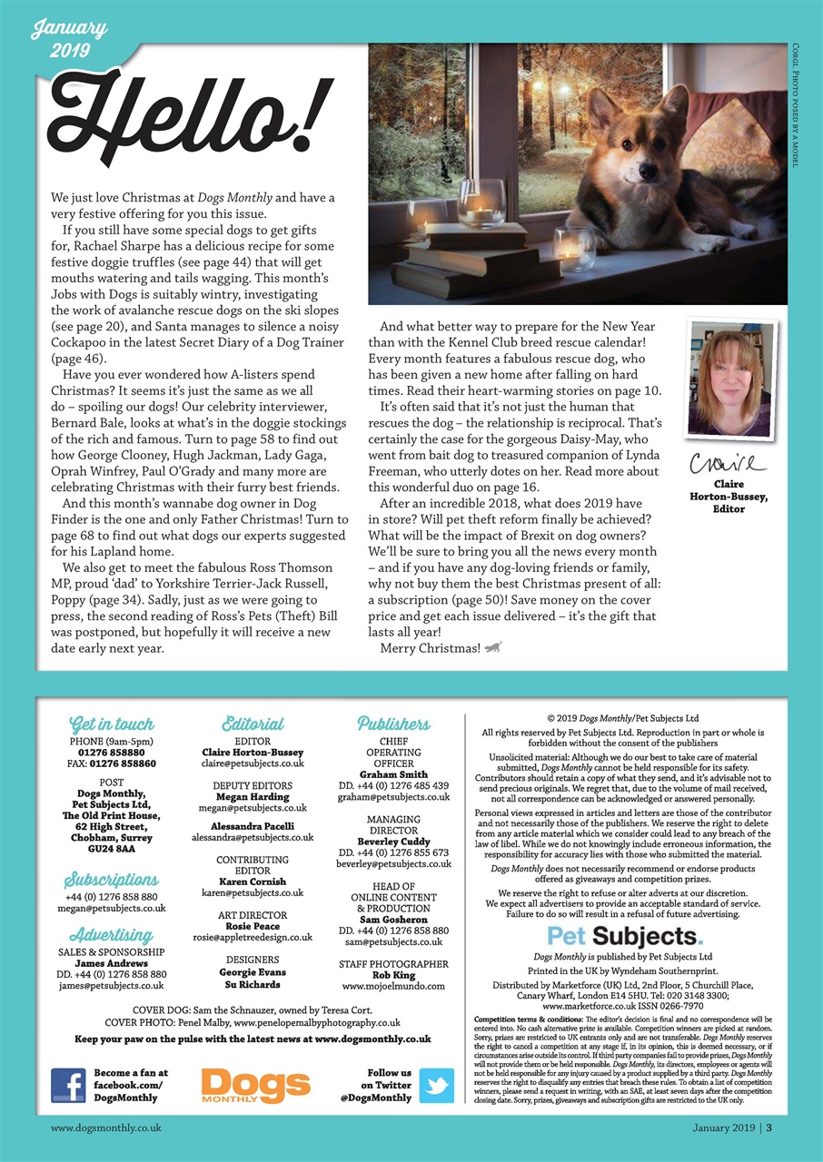 Dogs Monthly Preview Pages