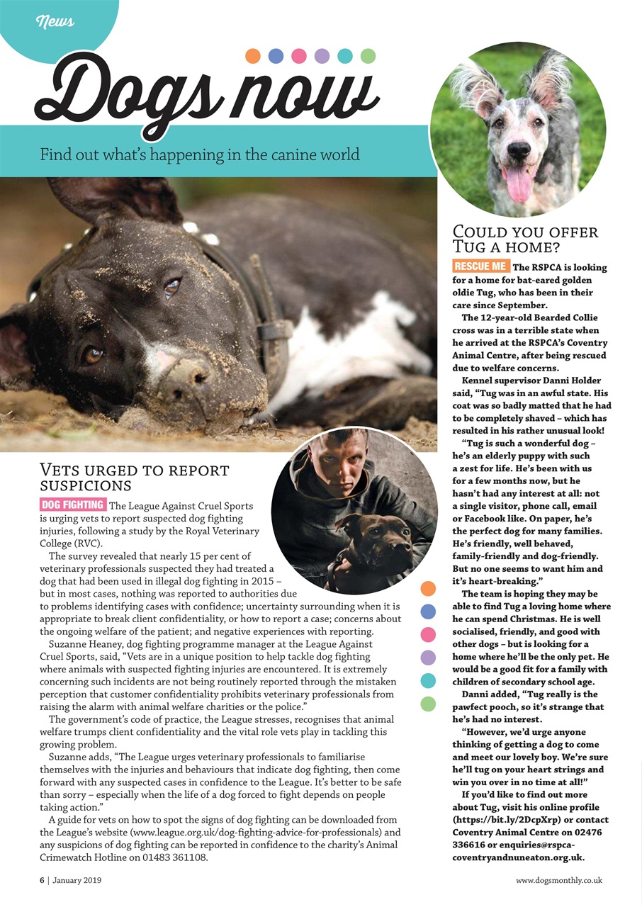 Dogs Monthly Preview Pages