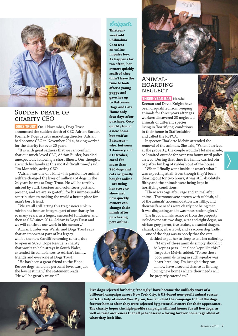 Dogs Monthly Preview Pages