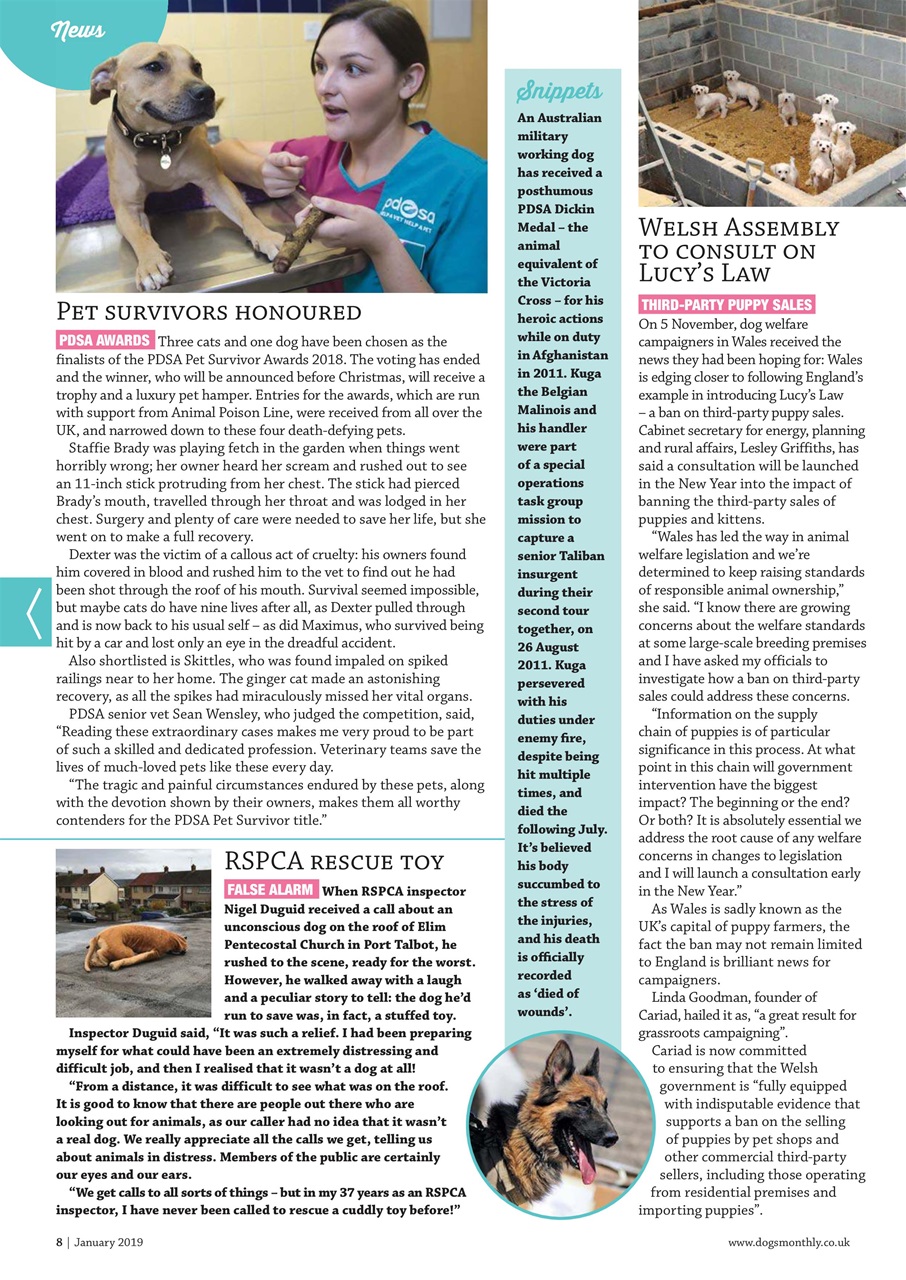 Dogs Monthly Preview Pages
