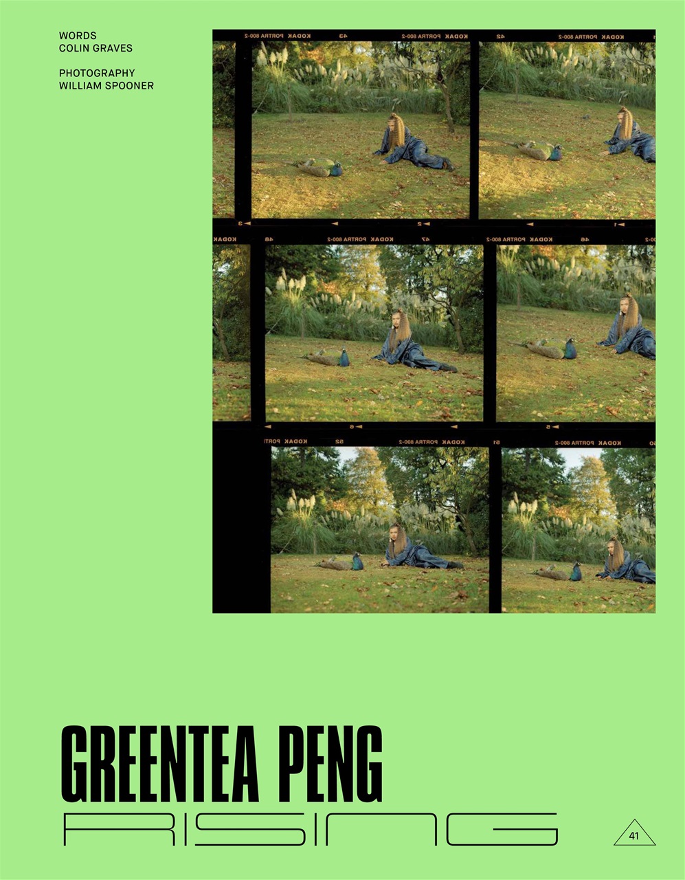 Notion Magazine Preview Pages