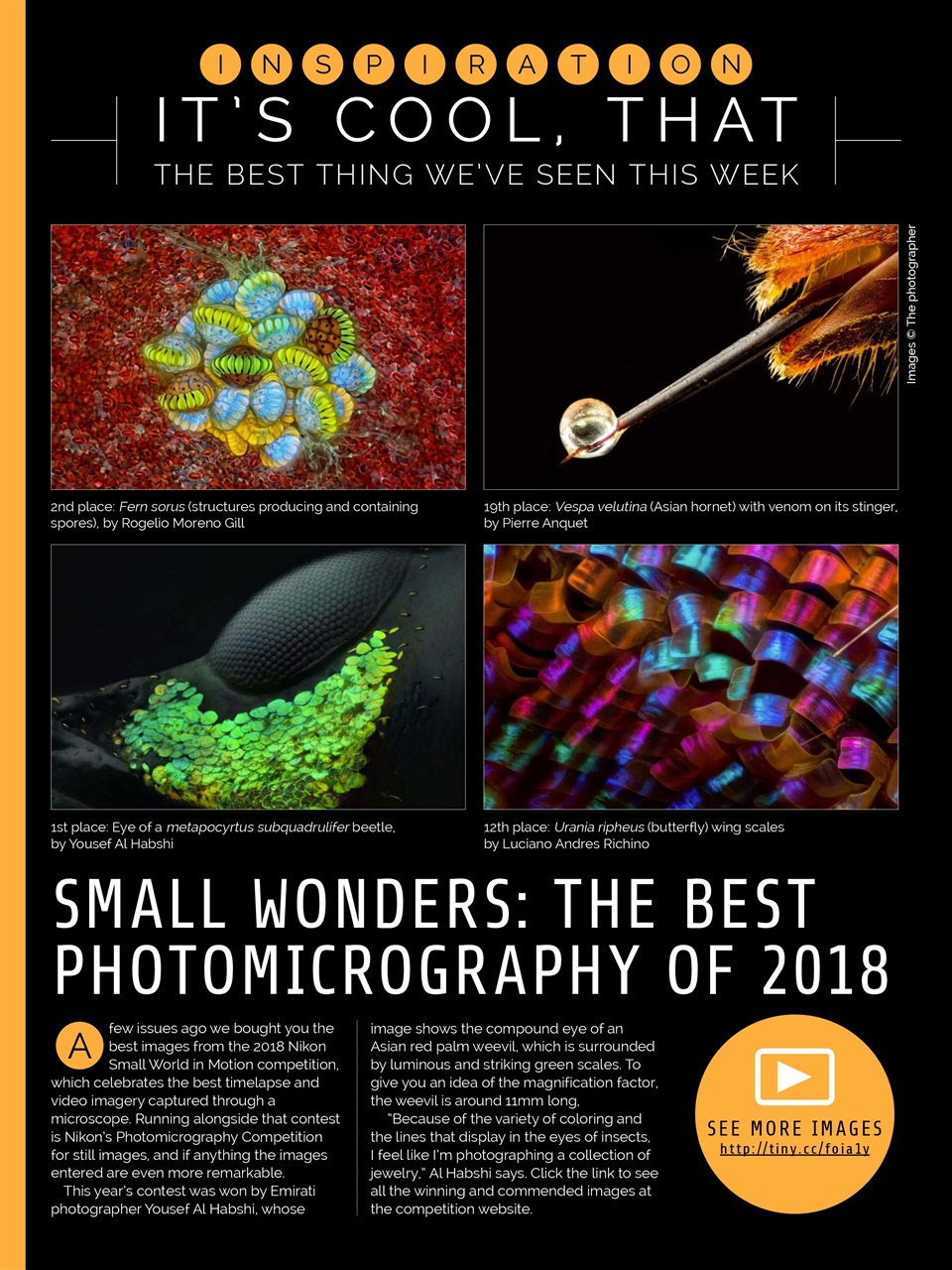 Photography Week Preview Pages