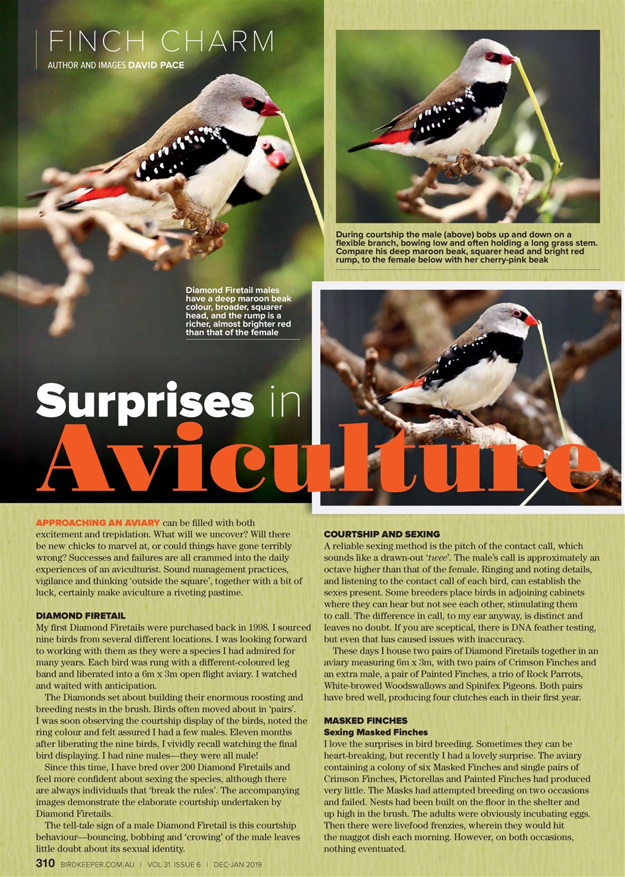 Australian Birdkeeper Magazine Preview Pages