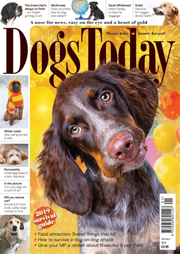 Dogs Today Magazine issue 