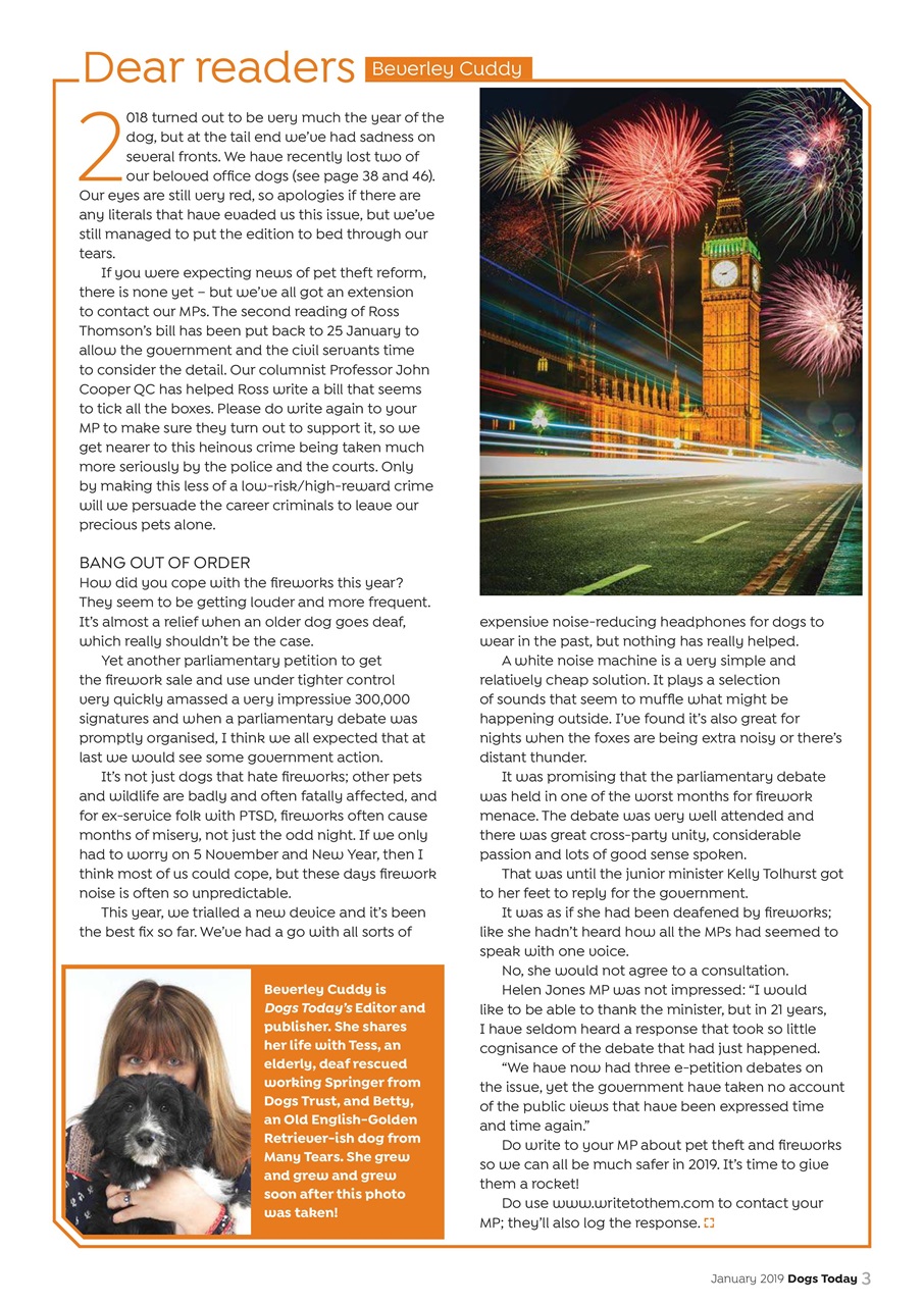Dogs Today Magazine Preview Pages