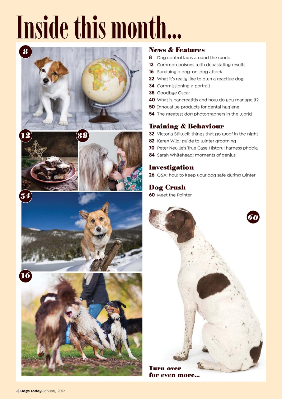 Dogs Today Magazine Preview Pages