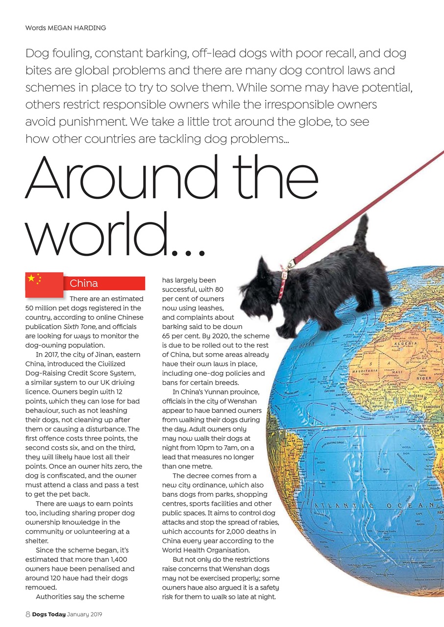 Dogs Today Magazine Preview Pages