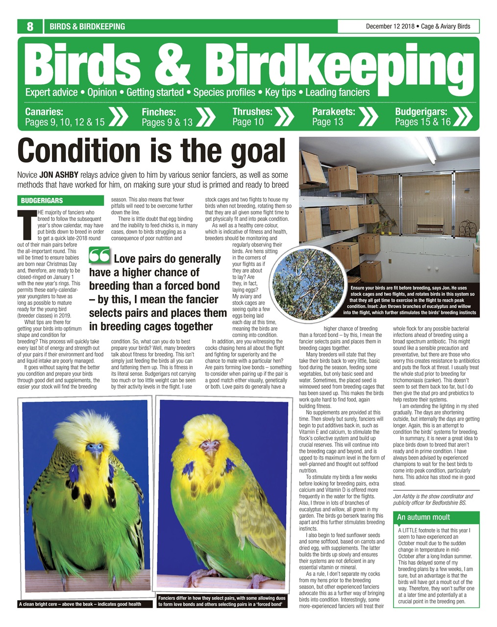 Cage & Aviary Birds Preview Pages