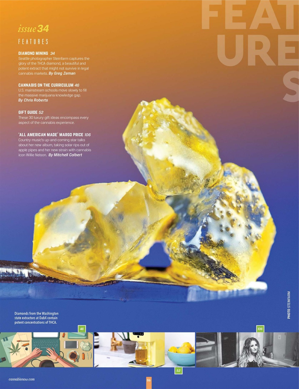 Cannabis Now Preview Pages