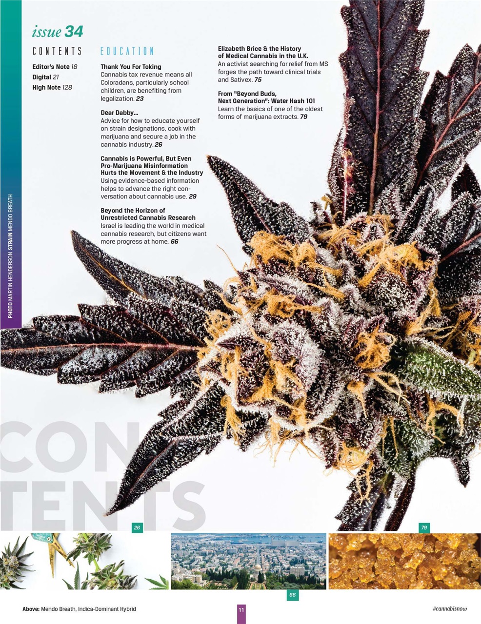 Cannabis Now Preview Pages