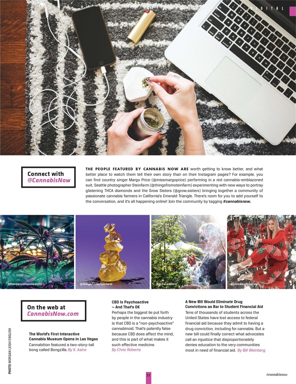 Cannabis Now Preview Pages