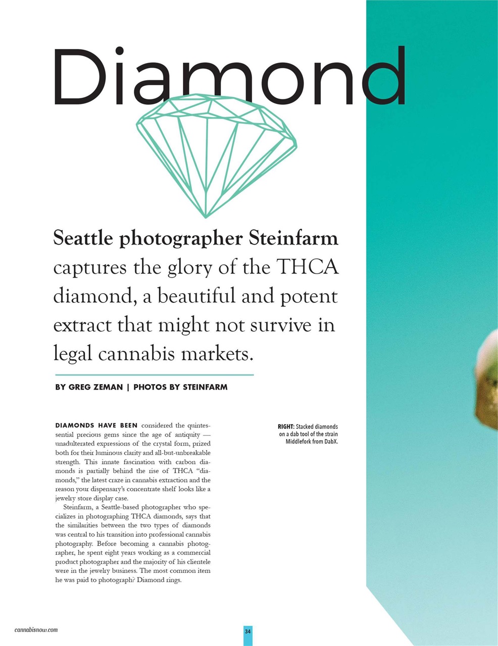 Cannabis Now Preview Pages