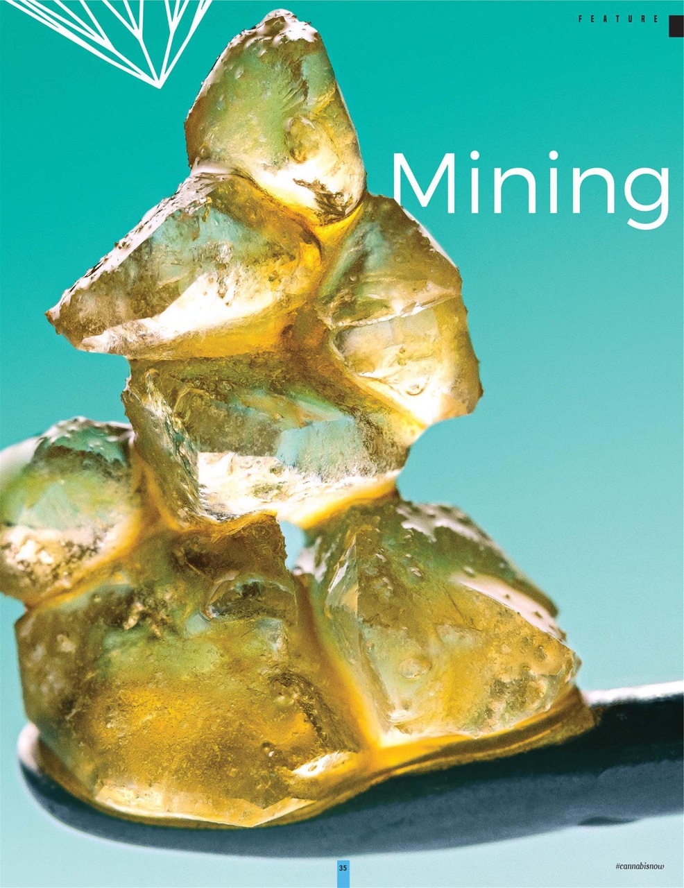 Cannabis Now Preview Pages