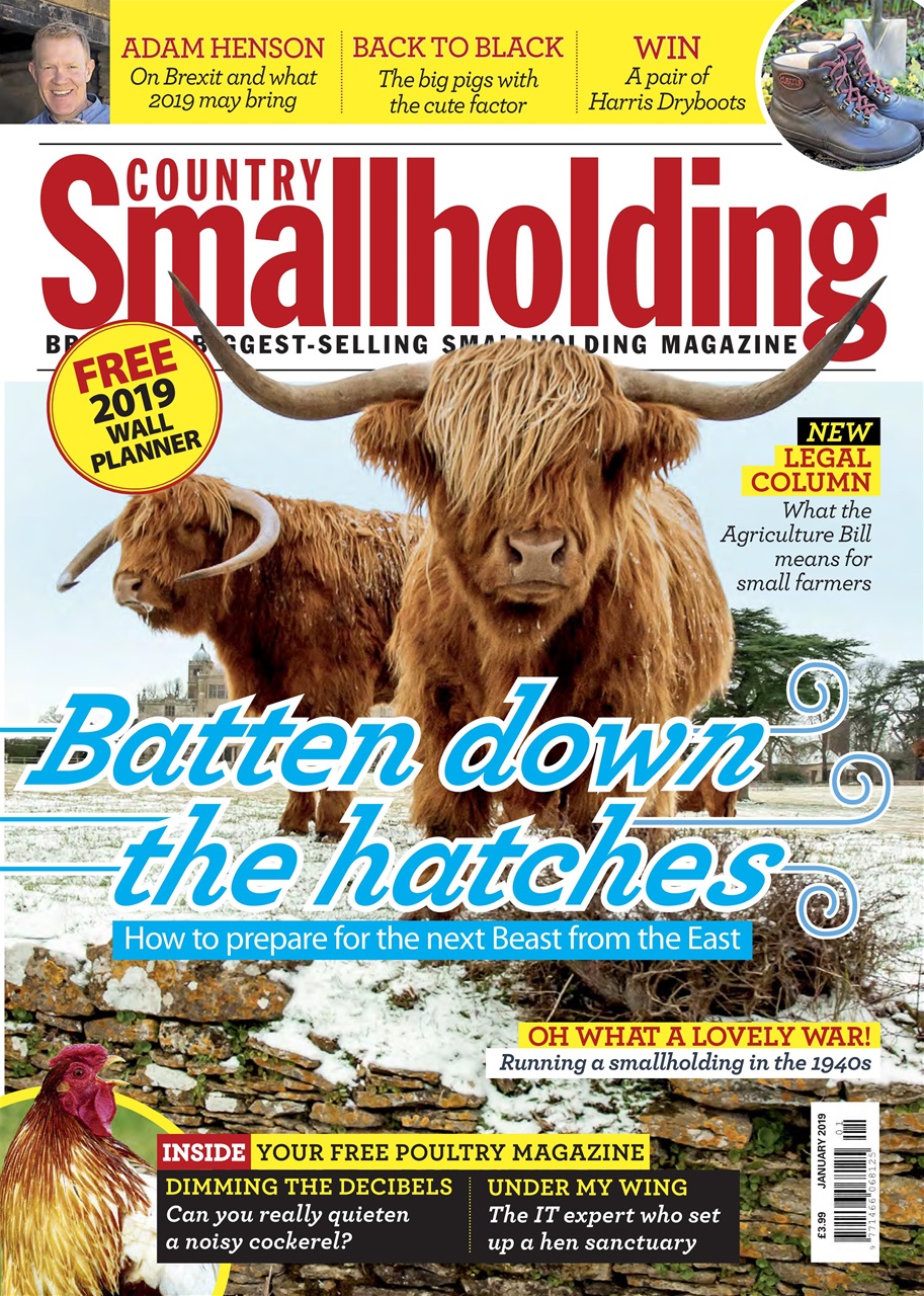 The Country Smallholder Preview Pages