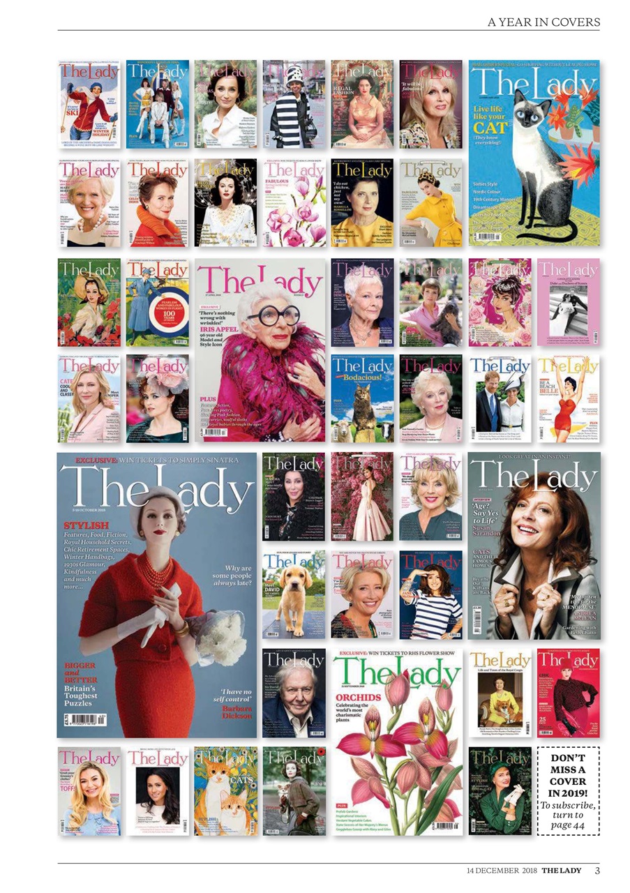 The Lady Preview Pages