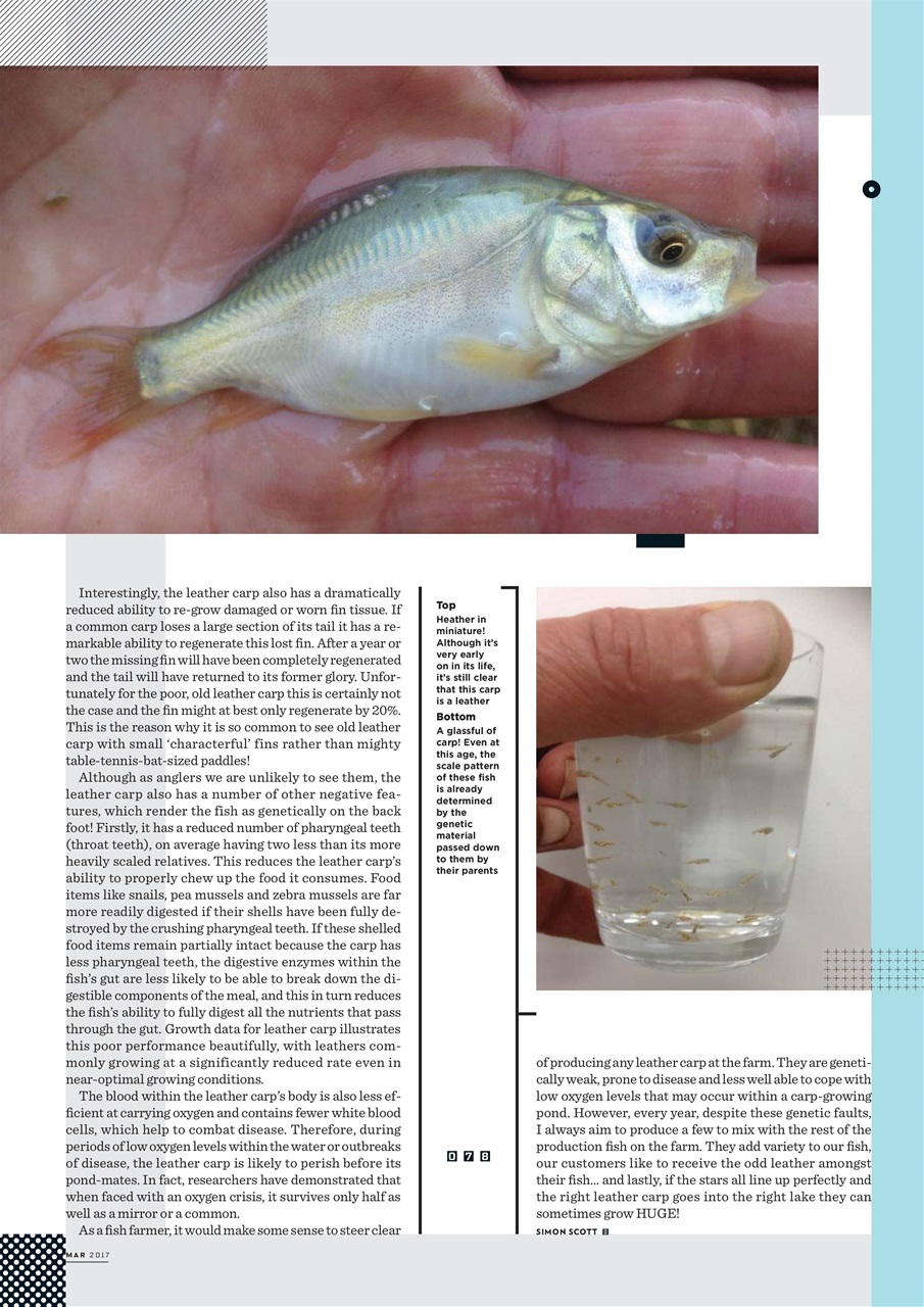 CARPology Magazine Preview Pages